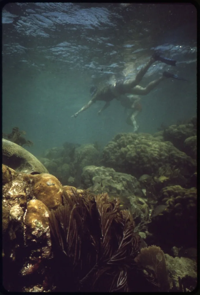 Florida Keys Underwater Music Festival Returns